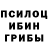 Псилоцибиновые грибы Psilocybine cubensis IT Support