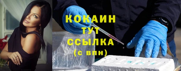 мяу мяу мука Арсеньев