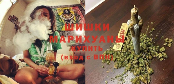 ПСИЛОЦИБИНОВЫЕ ГРИБЫ Аркадак