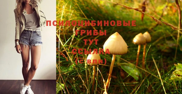 экстази Армянск